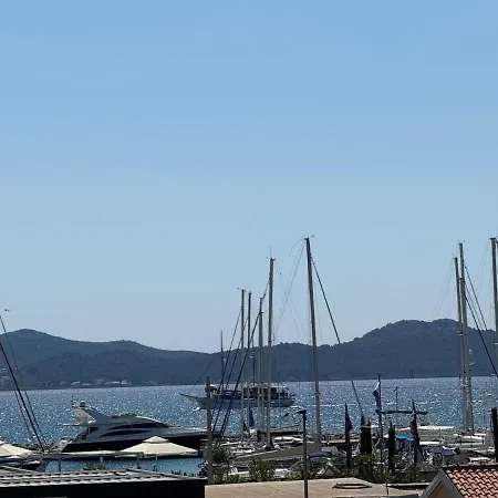 Everything Zadar